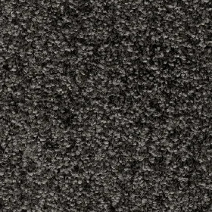 Ковровая плитка BONKEEL Crixus 99